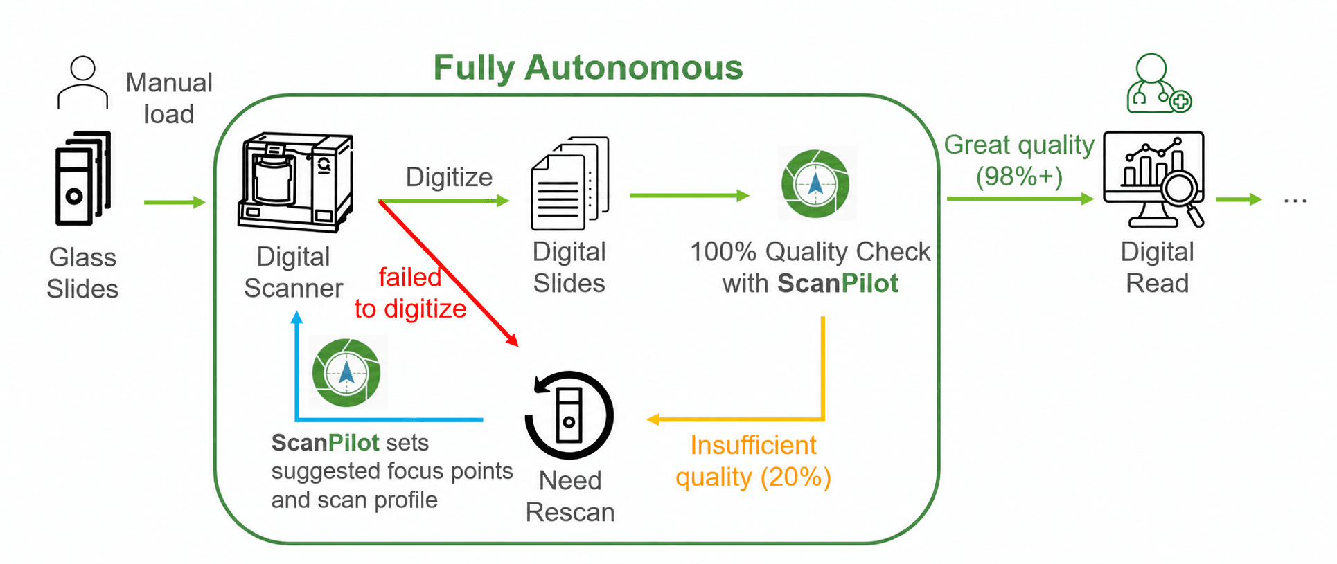 Fully autonomous ScanPilot workflow from glass slides to digital read